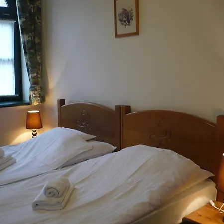 St. Hubertus Etterem Es Panzio *