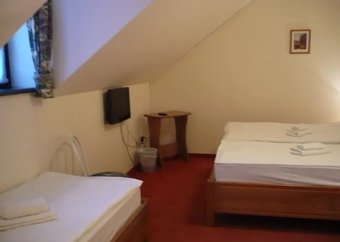 St. Hubertus Etterem Es Panzio B&B *
